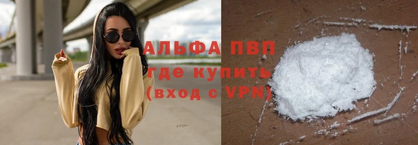 индика Бугульма