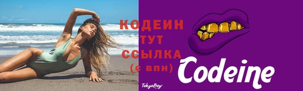 индика Бугульма
