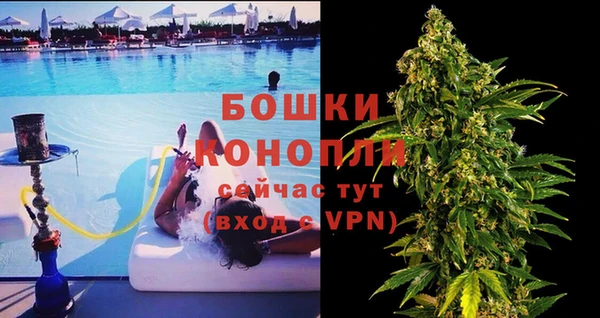 индика Бугульма