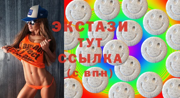 индика Бугульма