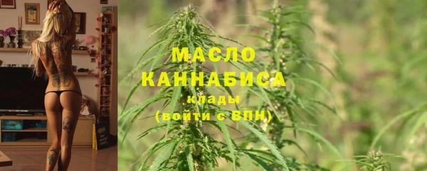 индика Бугульма